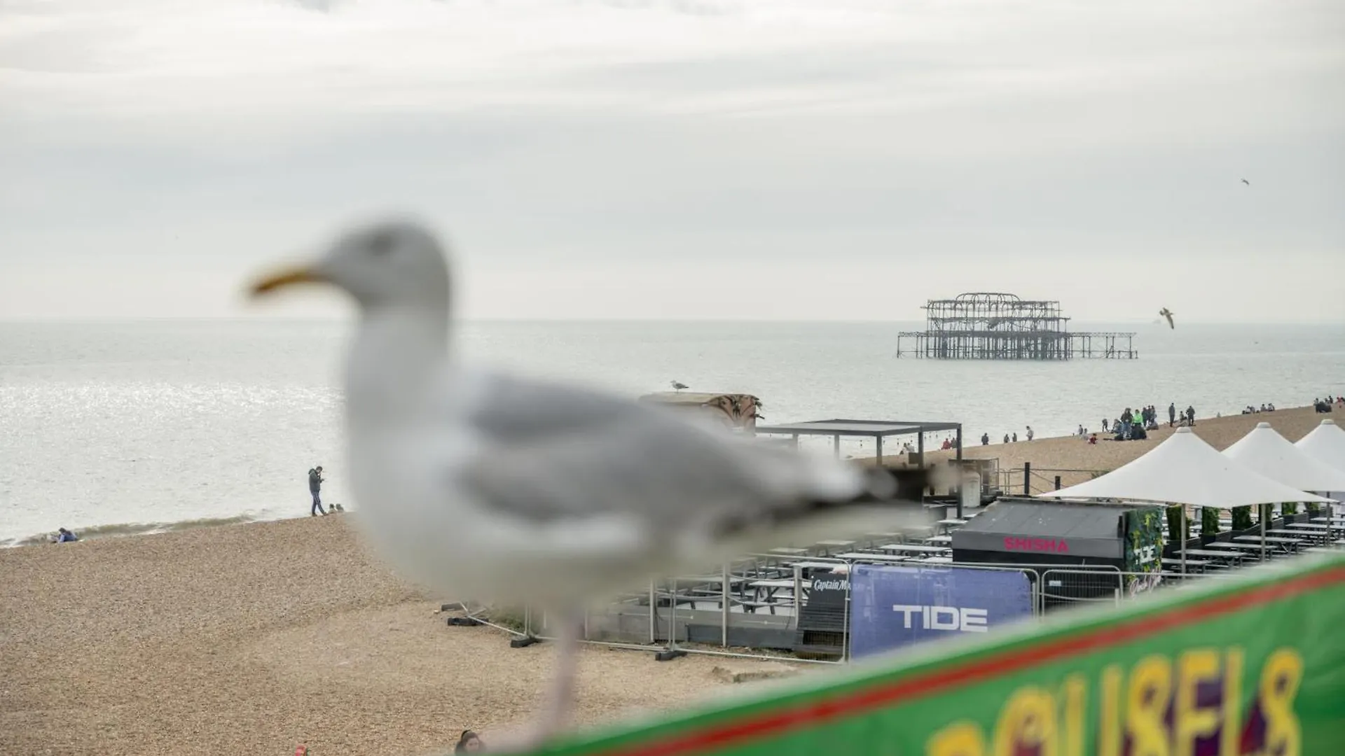 Gæstehus Kings Road Suites Brighton
